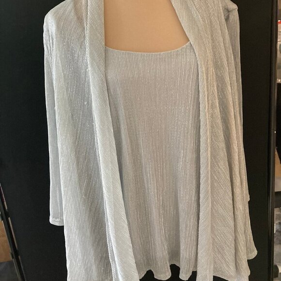 Silver Gauze Blouse - Picture 1 of 2